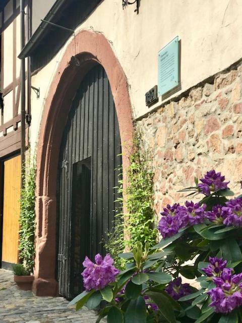 Büdinger Hof Lejlighed Weinheim Eksteriør billede