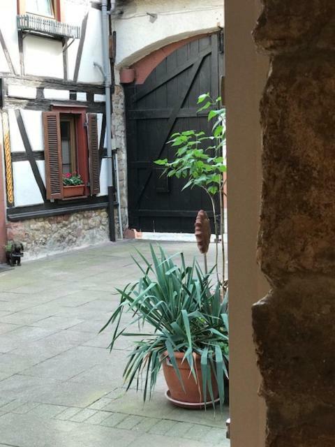 Büdinger Hof Lejlighed Weinheim Eksteriør billede